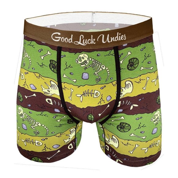 Men's Dinosaur Fossil Layers Underwear - Picture 1 of 2